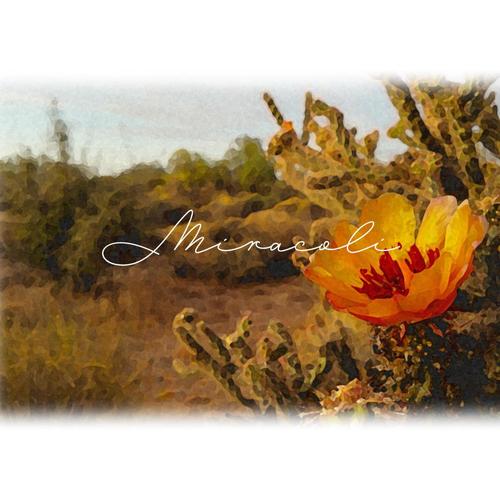 Miracoli (feat. SOPHIA) [Explicit]