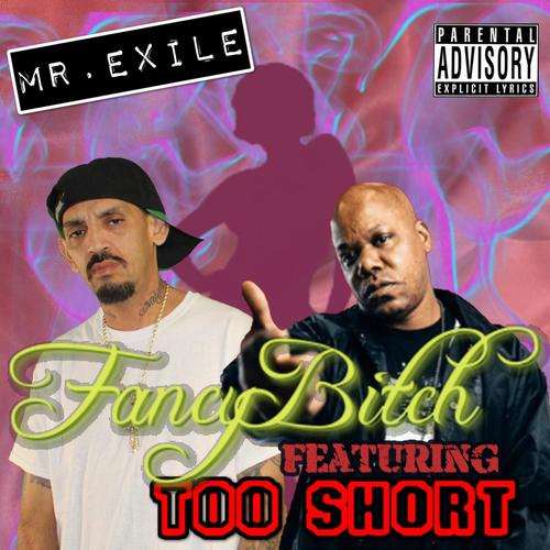 Fancy ***** (feat. Too $hort) [Explicit]