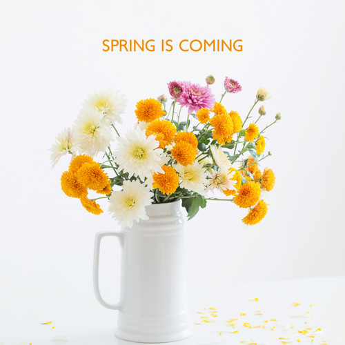 Spring Is Coming