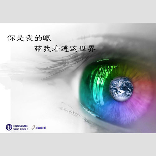 你是我的眼
