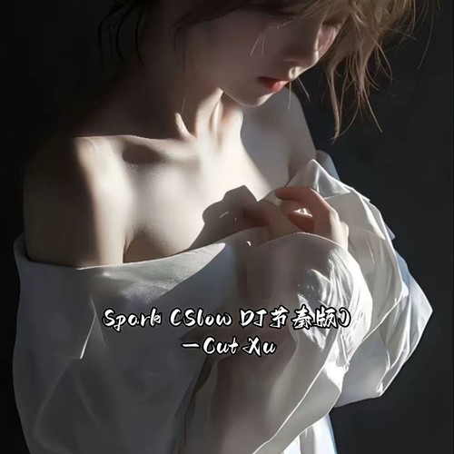 Spark (Slow DJ节奏版)