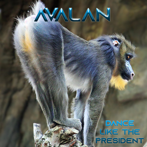 Dance Like the President