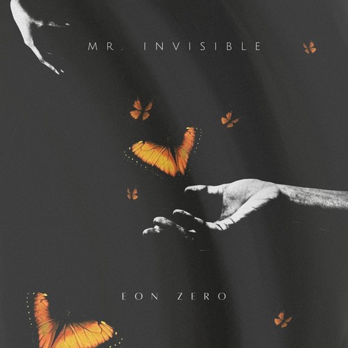 Mr. Invisible