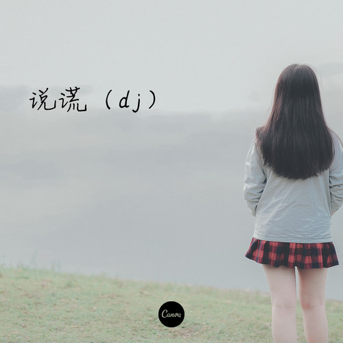 说谎（dj）