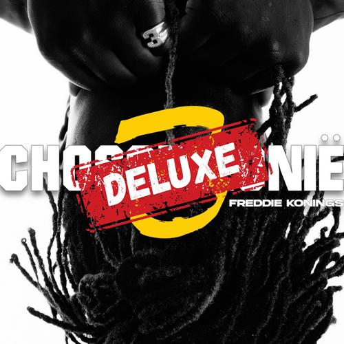 HET SYSTEEM (Explicit)