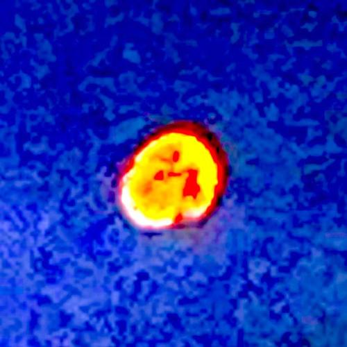better off dead (Explicit)