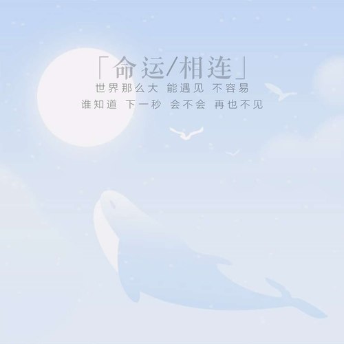 命运相连