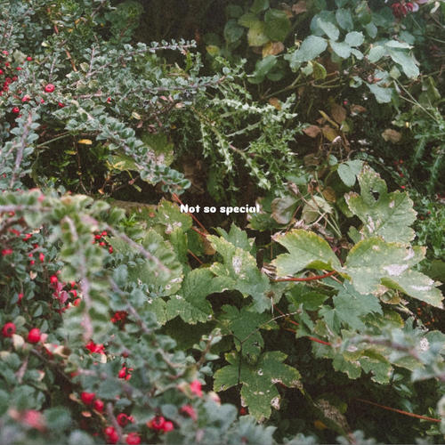 Not so special (feat. Mackk) [Explicit]