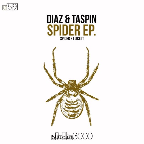 Spider