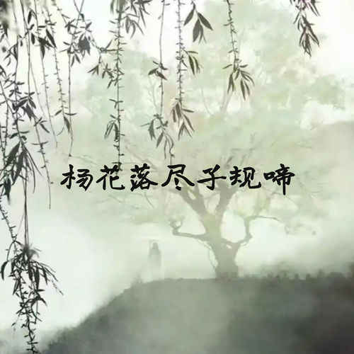 杨花落尽子规啼