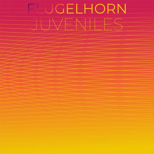 Flugelhorn Juveniles