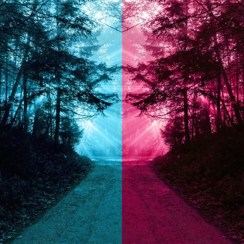 Choose Your Speed Emdr Clicks