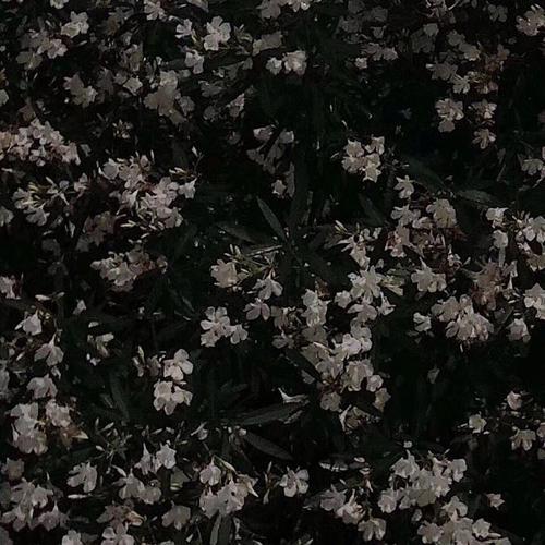 i won’t let you feel alone again