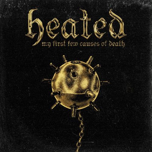 My First Few Causes of Death