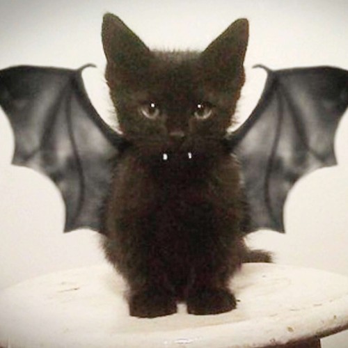 Расстройство (Explicit)