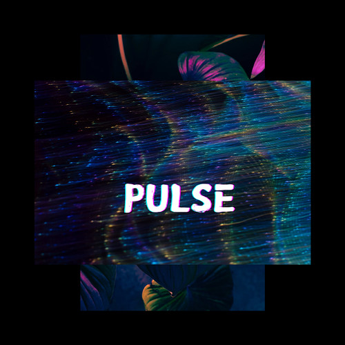 Pulse