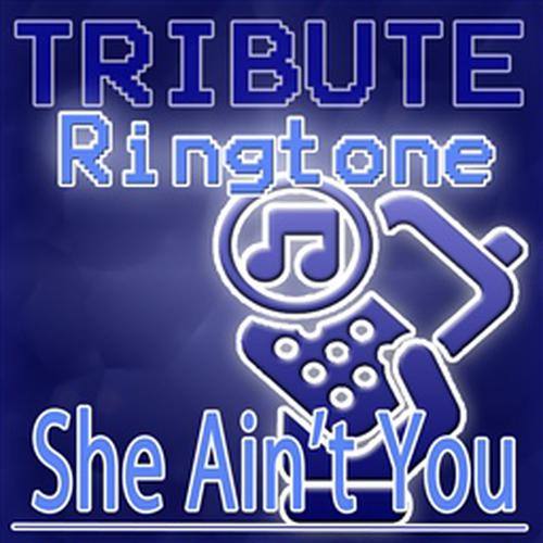 She Ain't You (Chris Brown Tribute)