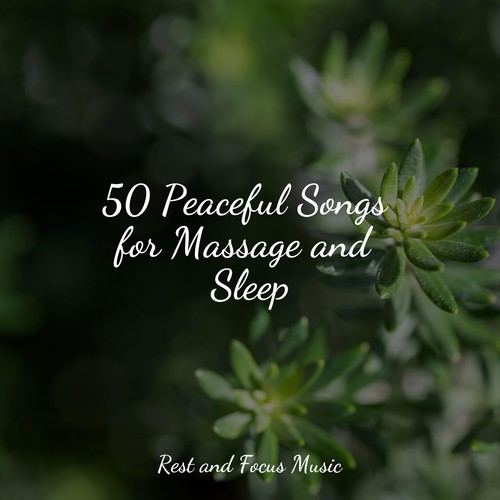50 Peaceful Songs for Massage and Sleep