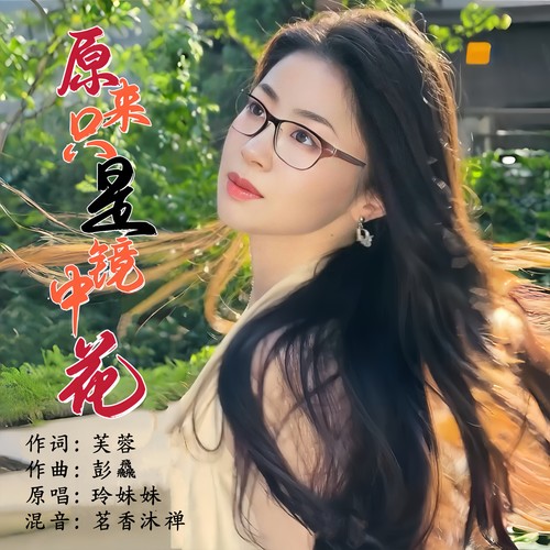 原来只是镜中花