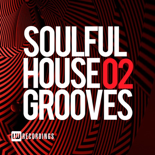 Soulful House Grooves, Vol. 02