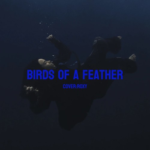 BIRDS OF A FEATHER