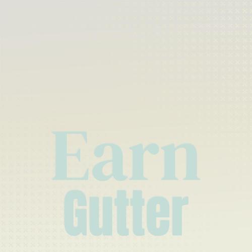 Earn Gutter