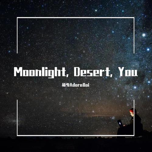 月光，沙漠和你