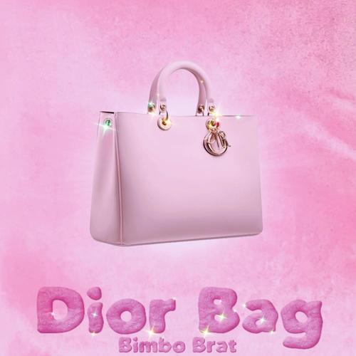 dior bag