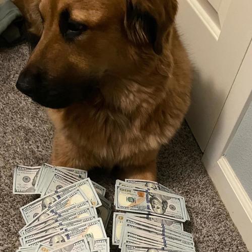 We Paid U Ain’t (Explicit)