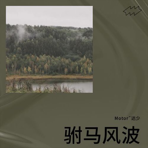 驸马风波