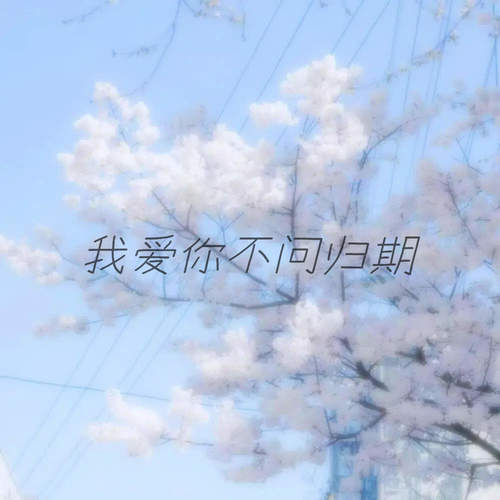 我爱你不问归期