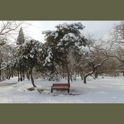 敖广原创翻唱合集