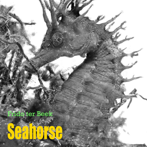 Seahorse