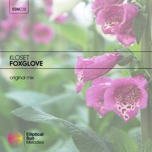 Foxglove