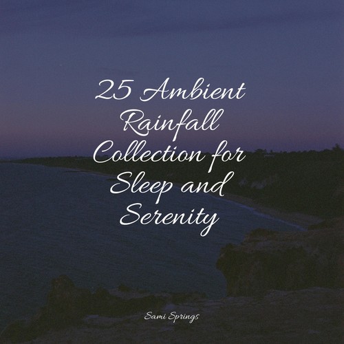 25 Ambient Rainfall Collection for Sleep and Serenity