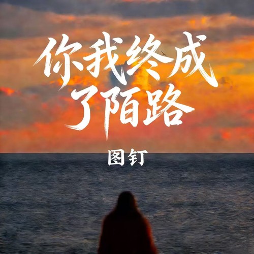 你我终成了陌路（你奔向了幸福）