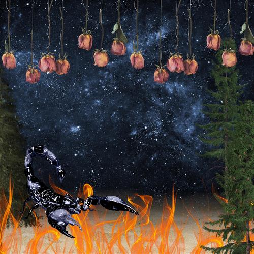 Don't Look Back In The Wilderness