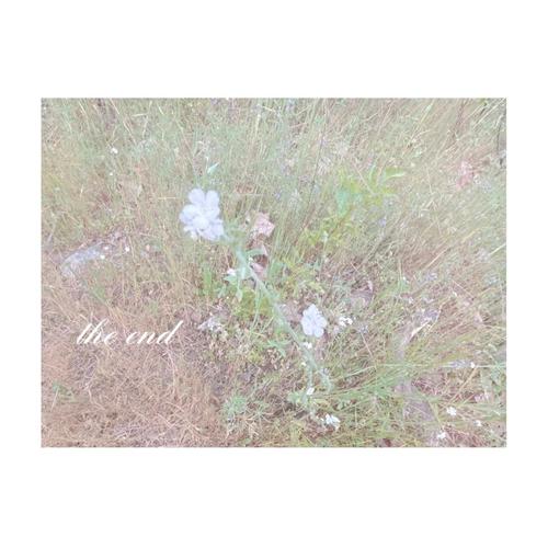 The End