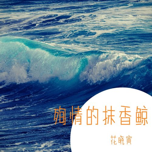 殉情的抹香鲸