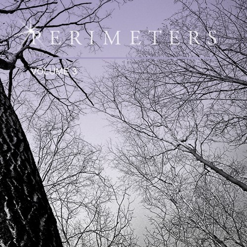 Perimeters, Vol. 3