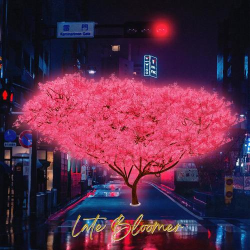 Late Bloomer (Explicit)