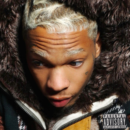 Detroit Freestyles (Explicit)