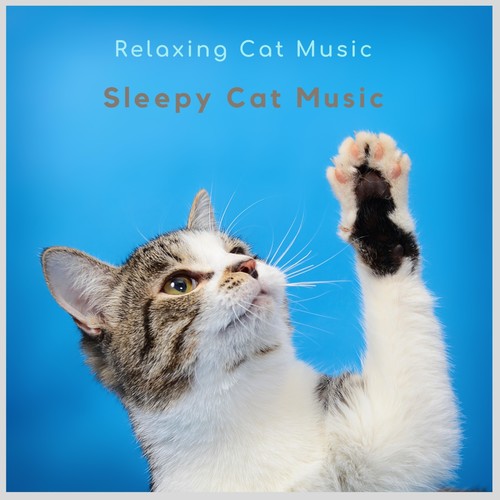 Relaxing Cat Music
