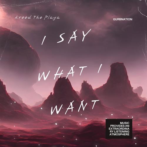 I say what i want (Explicit)