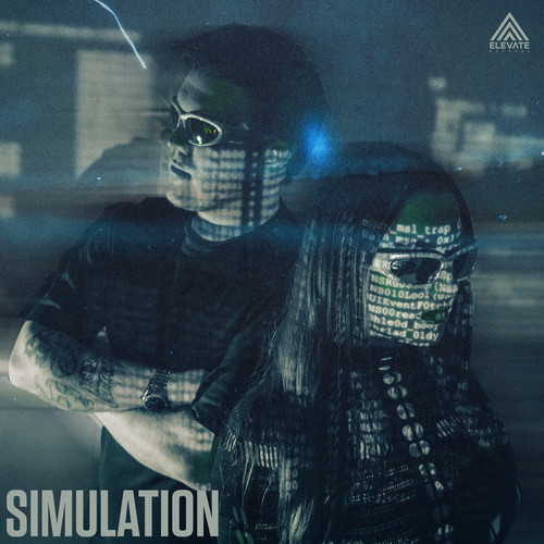 Simulation