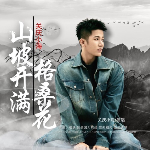 山坡开满格桑花