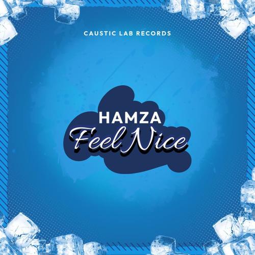 Feel Nice (feat. Hamzaa) [Explicit]