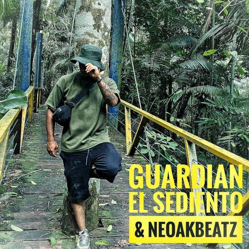 Guardian (feat. Neoakbeatz) [Explicit]
