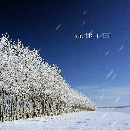 森林王国