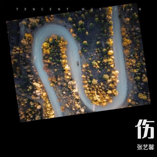 伤